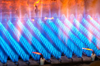 Crarae gas fired boilers